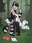 choconvanilla.png