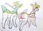 20250521_024706.jpg