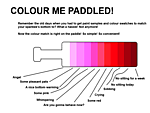 colorpaddle.png