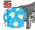 Morning_Belt.png