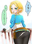 zelda1.jpg