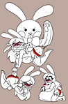 IMG_0040.png