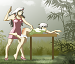 mirajane_and_lisanna_by_februaryleaf1.png